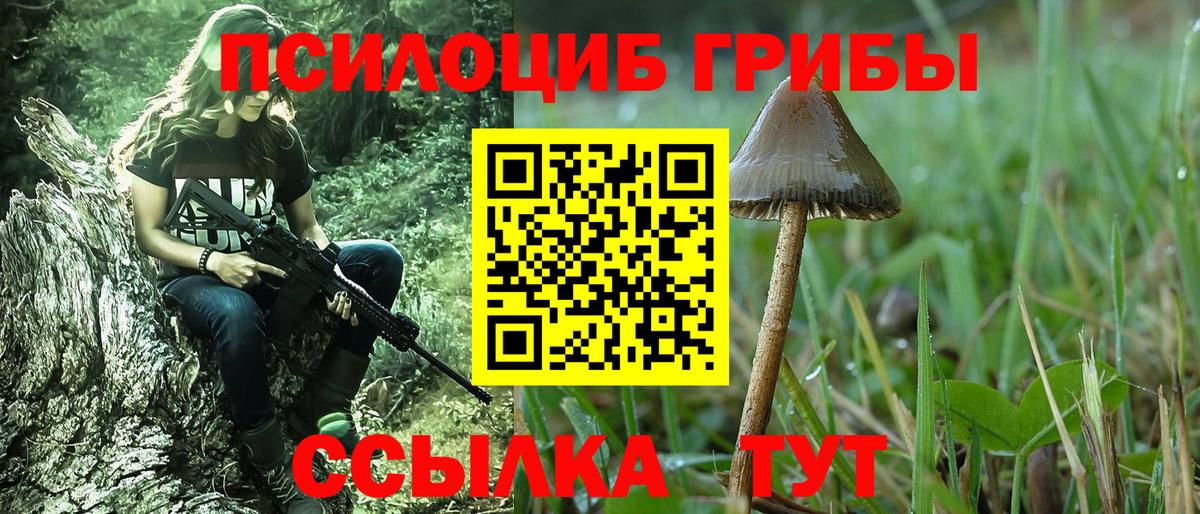 Галлюциногенные грибы прущие грибы  Псилоцибиновые грибы прущие грибы  Еманжелинск  Вход с VPN 