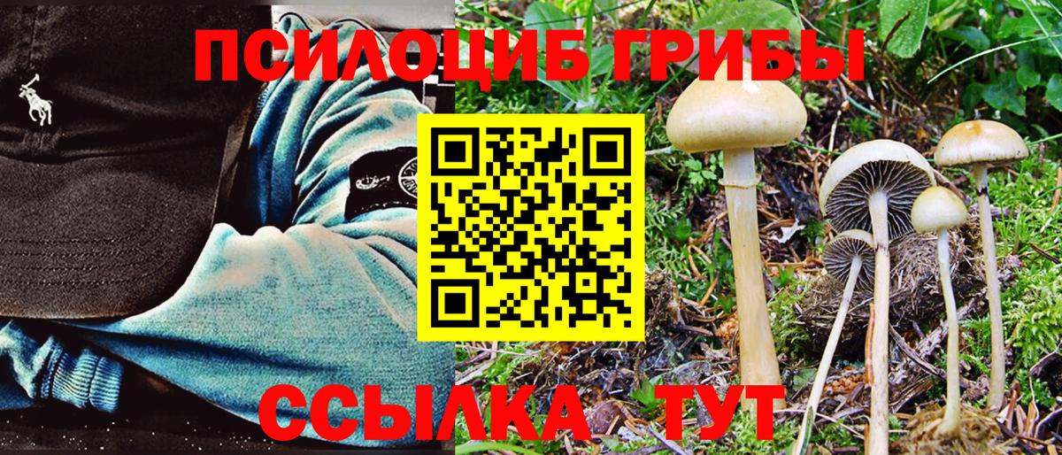 Псилоцибиновые грибы Magic Shrooms Еманжелинск